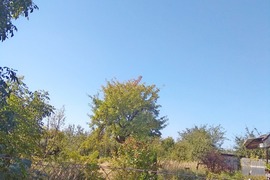 Земельный участок в СНТ "Дружба"